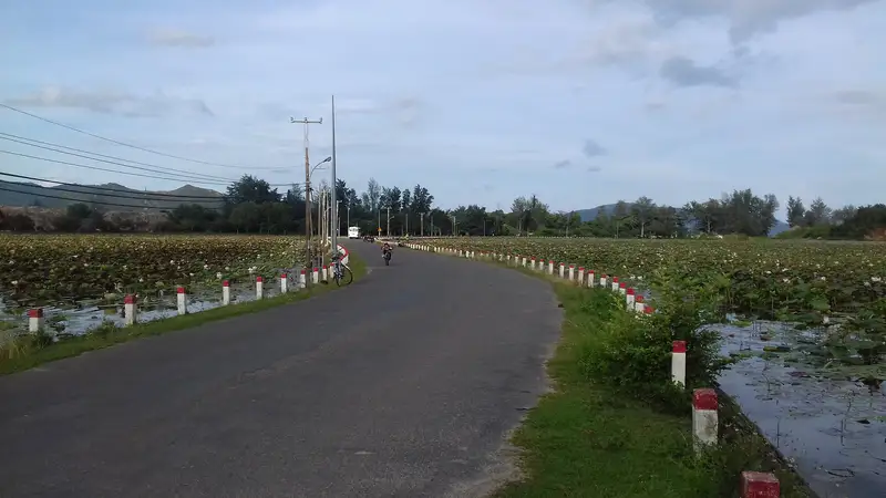 Hồ An Hải - ảnh 5